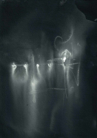 http://www.actionaqua.com/files/gimgs/th-113_bodensee  10invert.jpg